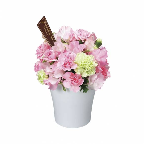 神奈川県南足柄市の花屋 花友生花店にフラワーギフトはお任せください 当店は 安心と信頼の花キューピット加盟店です 花キューピットタウン